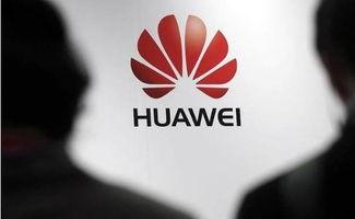 华为员工爆料新闻,揭秘公司内部惊人内幕